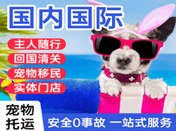 九江庐山空运代理国际宠物托运 【国